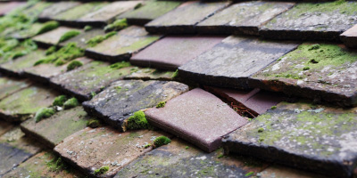 Ebley roof repair costs